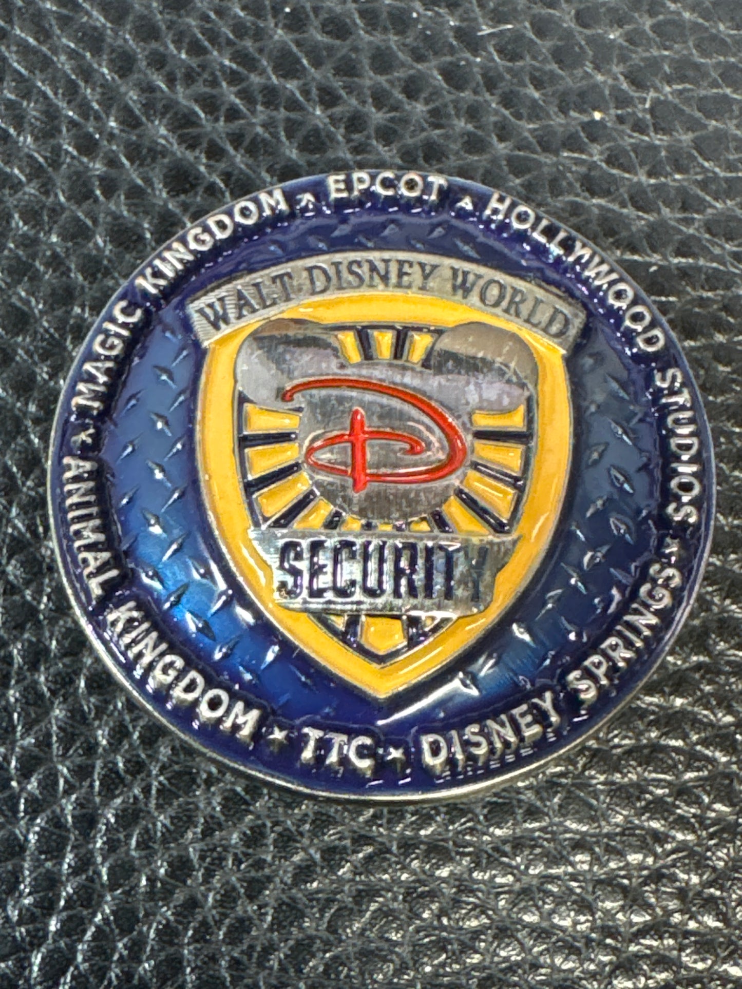 Disney Security Bay Lake Blue Version